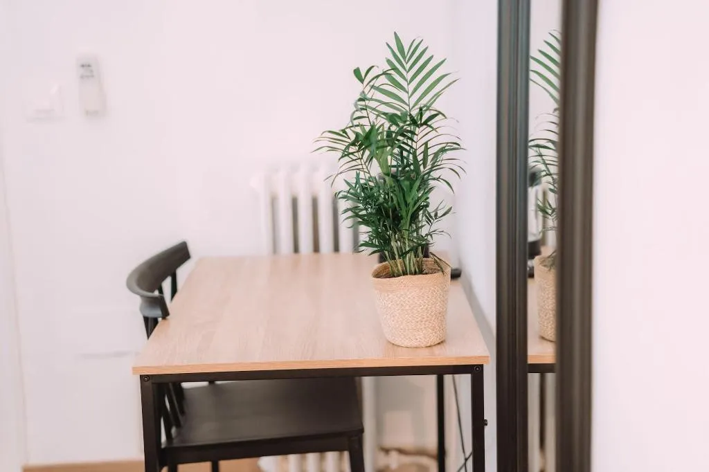 Room, Concept Rooms, Valencia