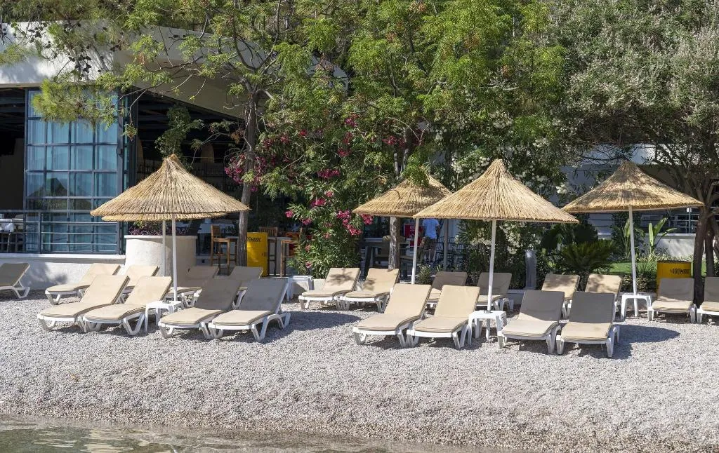 Beach, Alesta Midtown, Dalaman