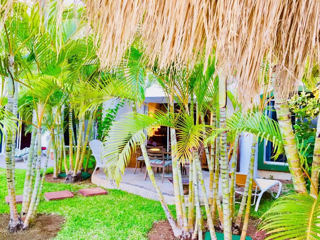 General view, Dolce Vita Caribe B&B, Playa Del Carmen