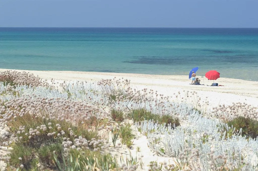 Beach, Residenza Borgo Marino - Sa Ventana, Alghero