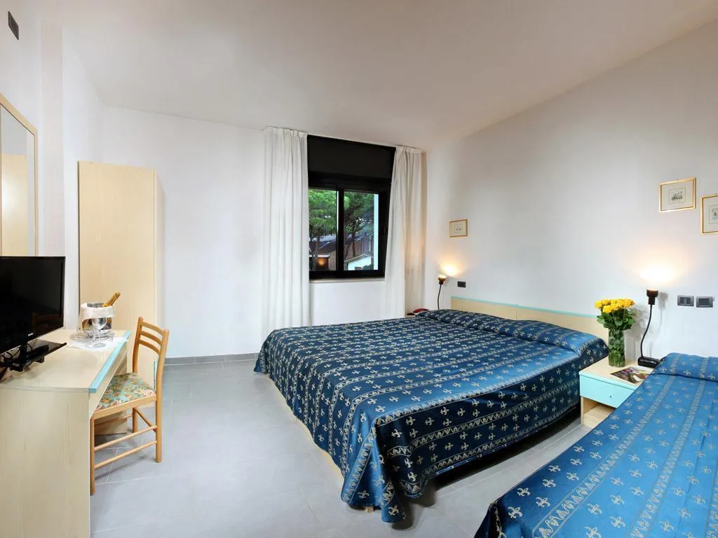 TRIPLE STANDARD Room, Hotel Helvetia, Venice