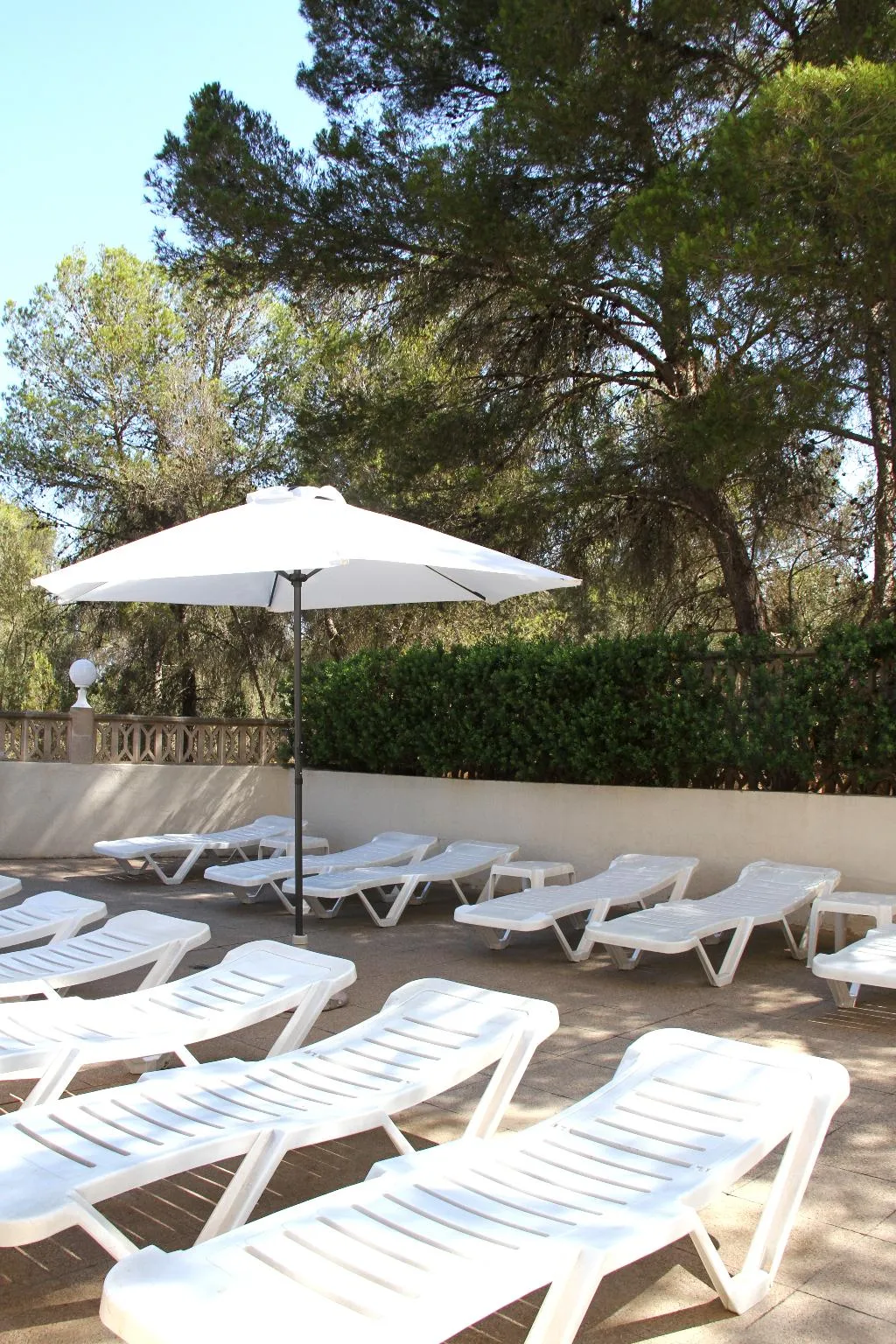 Pool, Hotel Selva Arenal, Majorca