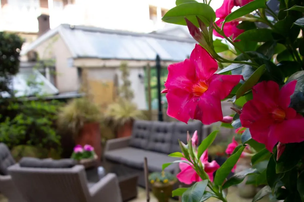 Terrace, Hotel Jupiter, Amsterdam