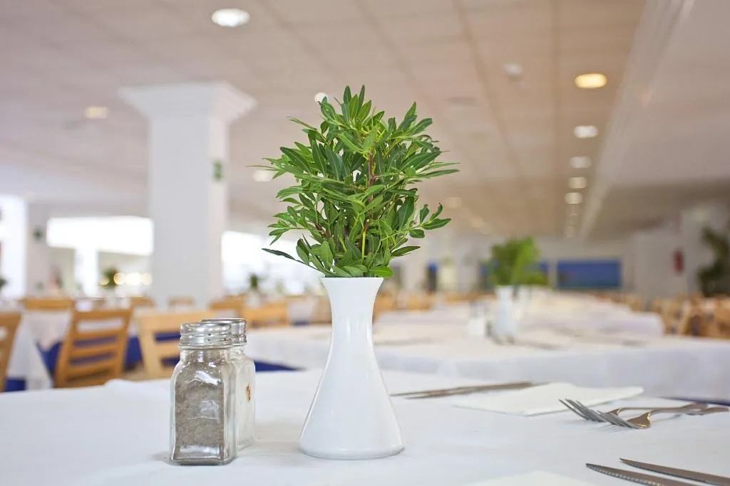 Restaurant, HYB Eurocalas, Majorca