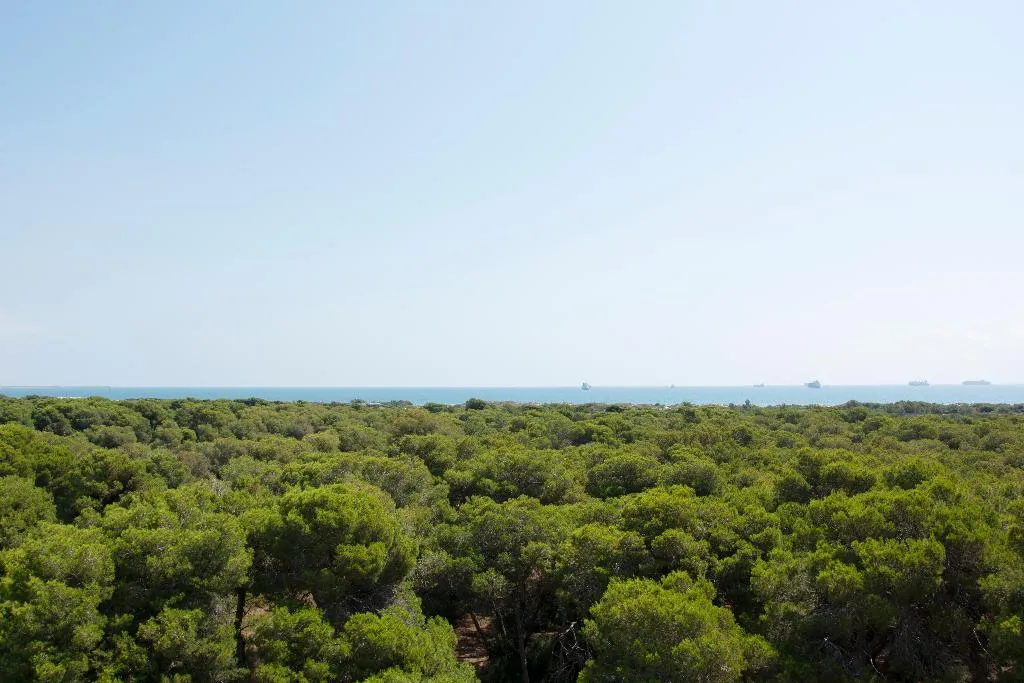 Terrace, You&Co.Saler Beach Boutique, Valencia