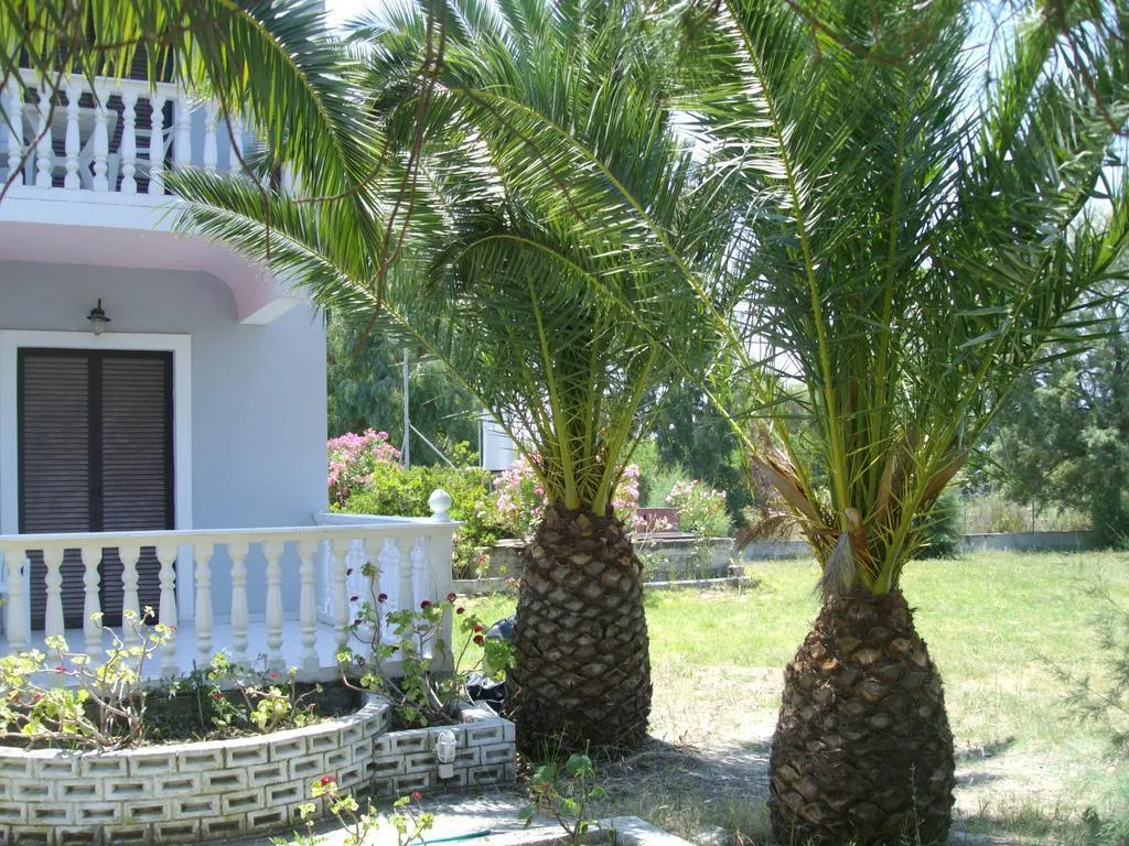General view, Babis Studios, Zante