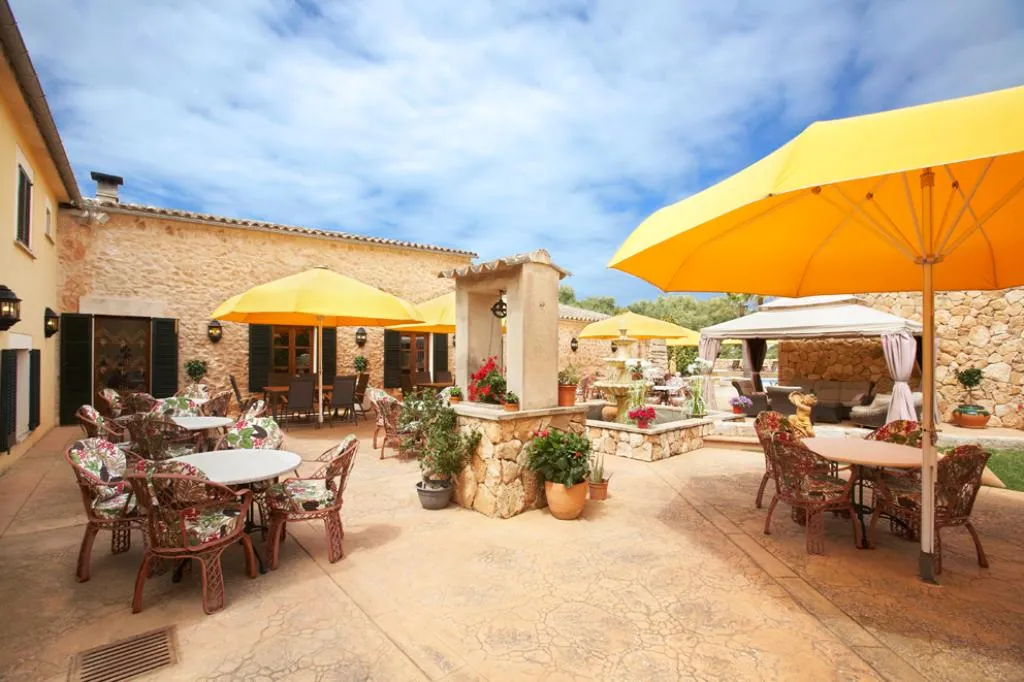 Terrace, Puig de Ros d Alt, Majorca