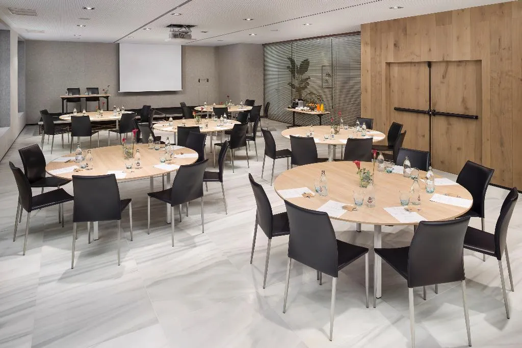 Conferences, Melia Madrid Serrano, Madrid