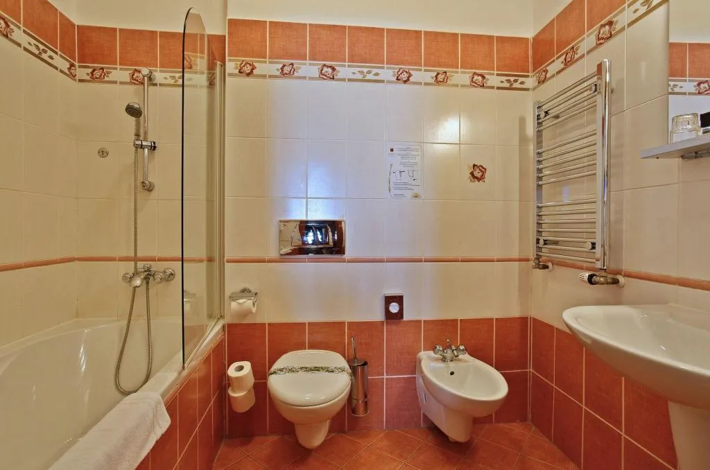 Room, U Pava, Prague