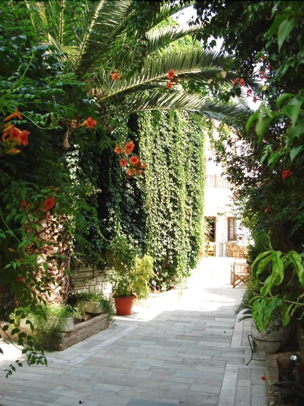 General view, Pothos Hotel, Skiathos