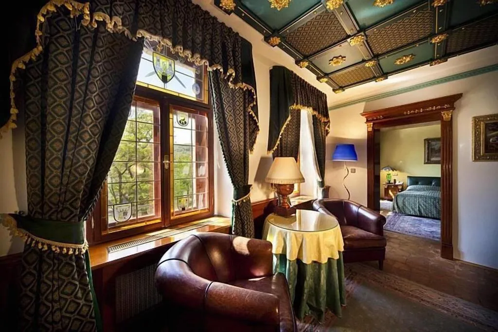 Room, U Pava, Prague