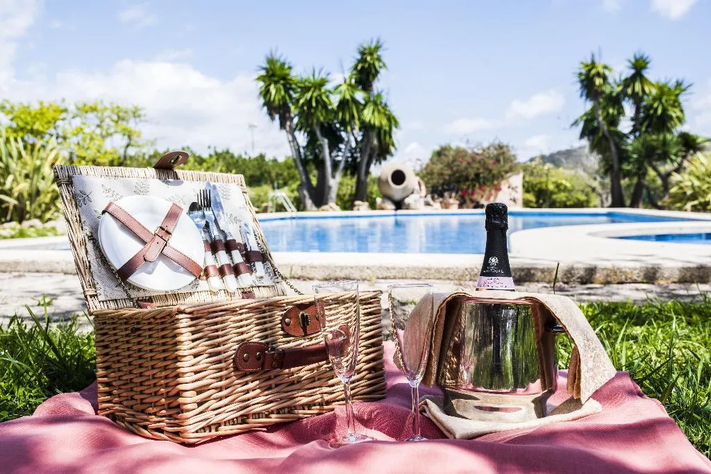Pool, Aumallia Hotel & Spa, Majorca