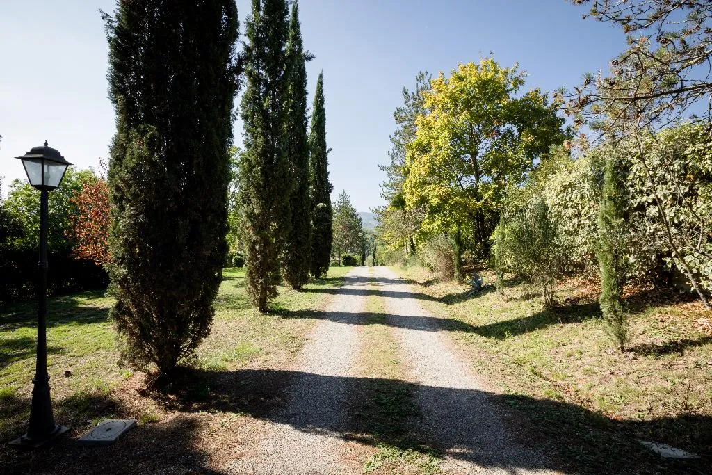 General view, Fattoria Sant'Andrea, Florence