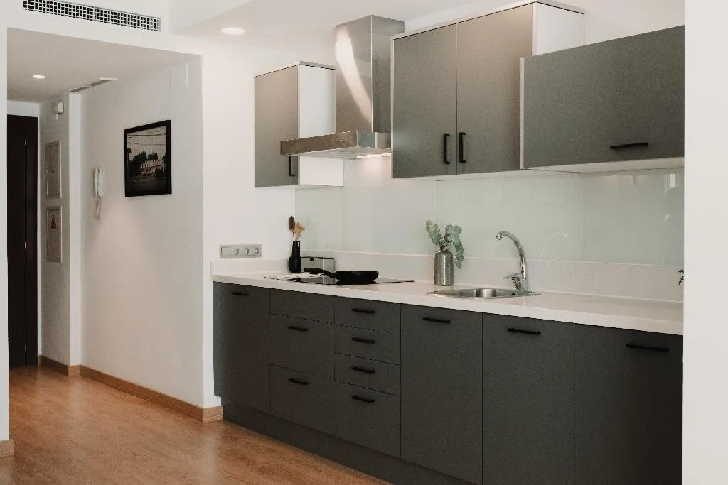 APARTMENT CAPACITY 3 Room, Parker The Urban Flats, Valencia