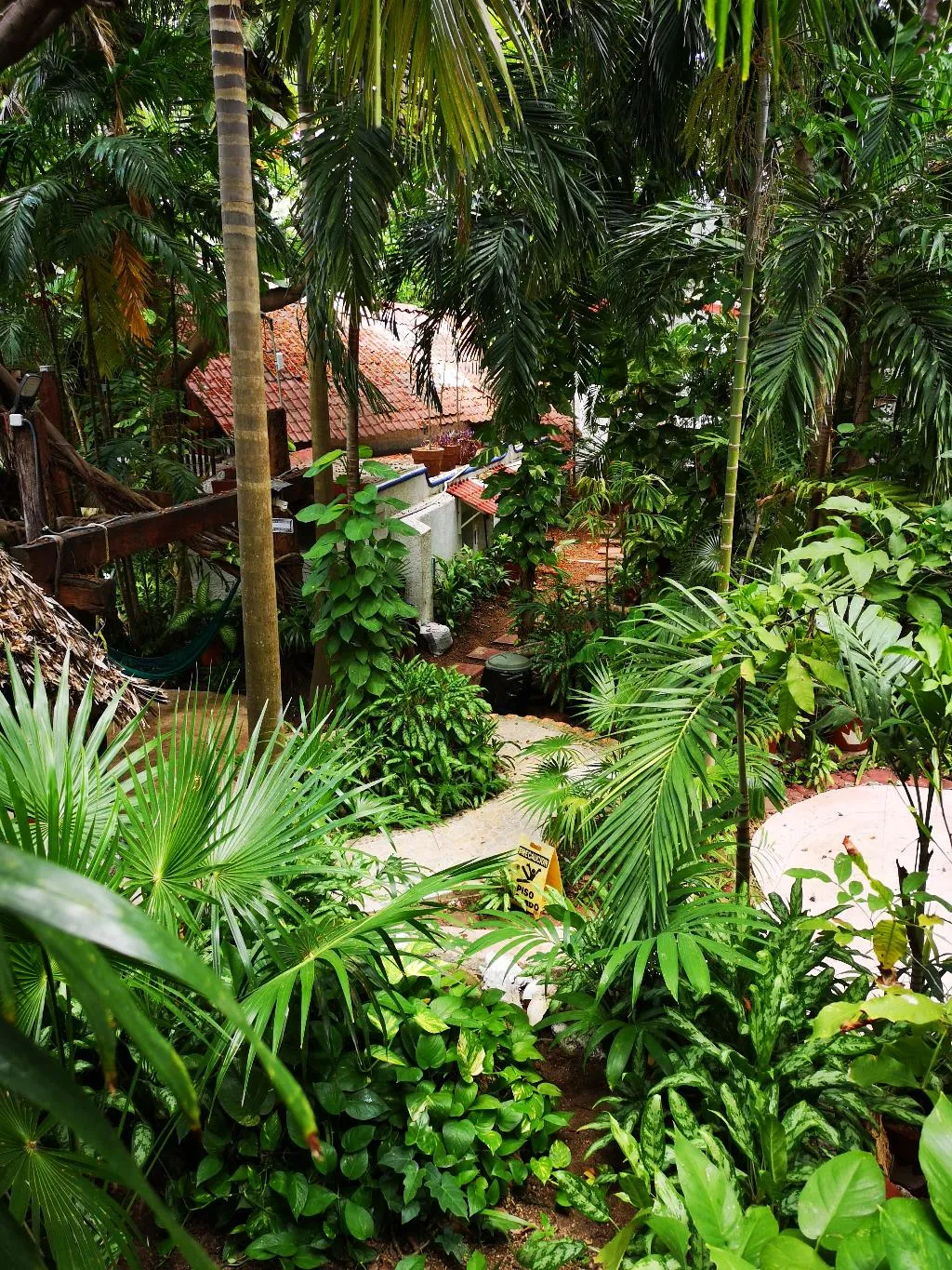 General view, Eco-hotel El Rey Del Caribe, Cancun Area