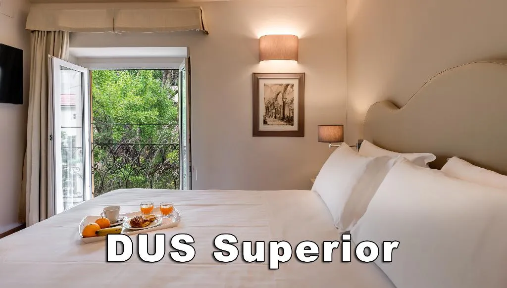 DOUBLE SINGLE USE SUPERIOR Room, La Fortezza, Florence