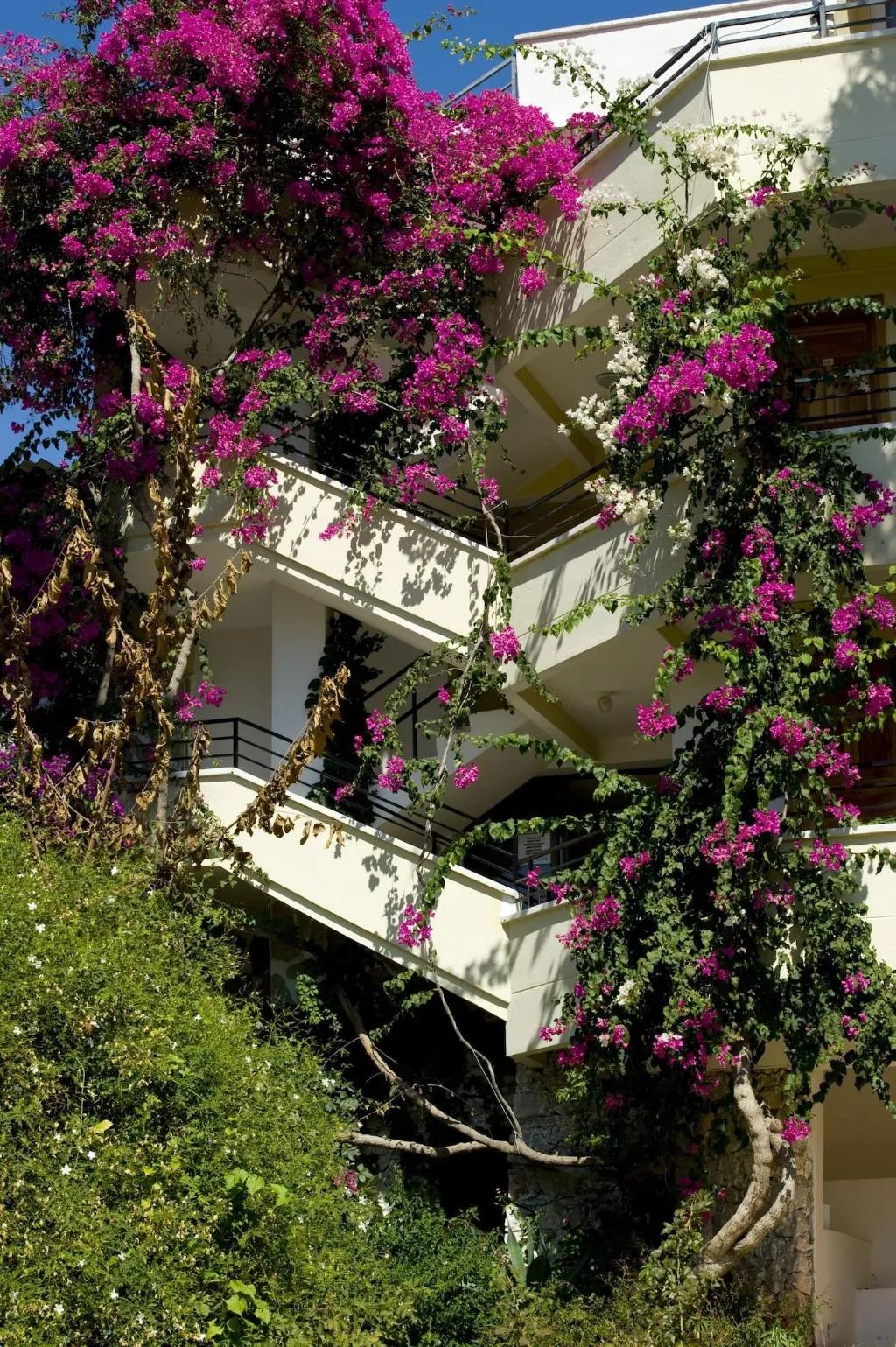 General view, Hotel Pataros, Dalaman