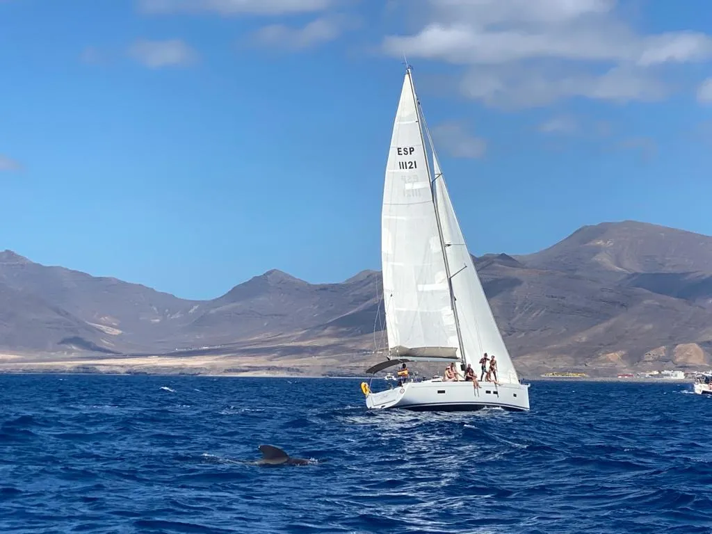 Sports and Entertainment, Villas Monte Solana by LIVVO, Fuerteventura
