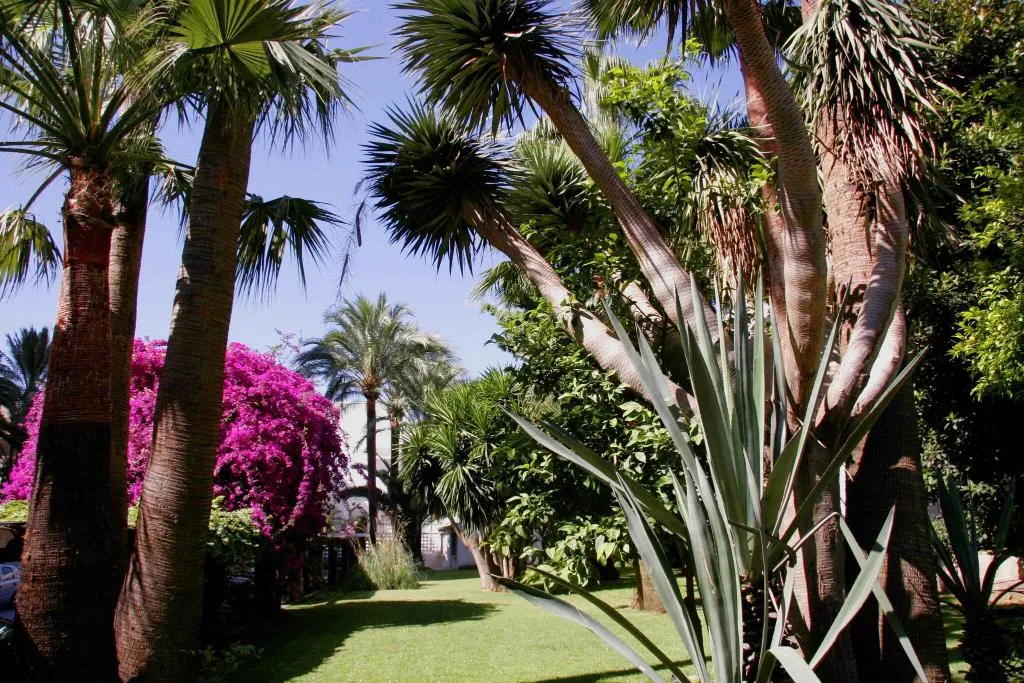 Terrace, Hotel Apartamentos Bajondillo, Costa Del Sol