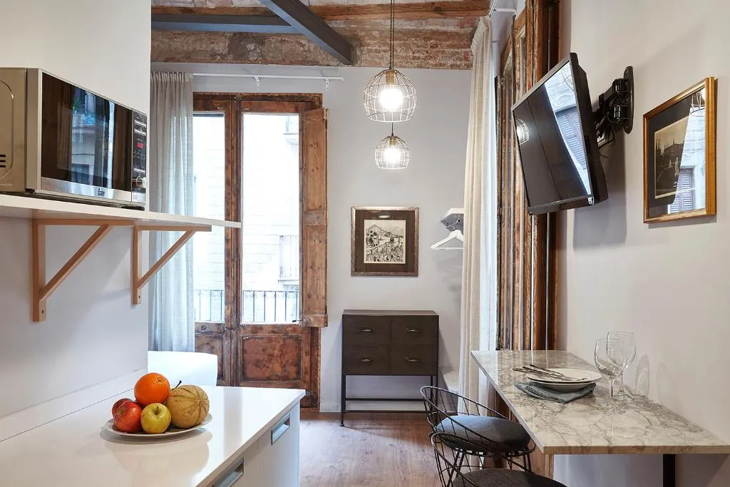 APARTMENT CAPACITY 1 Room, AinB Gothic-Jaume I Apartments, Barcelona