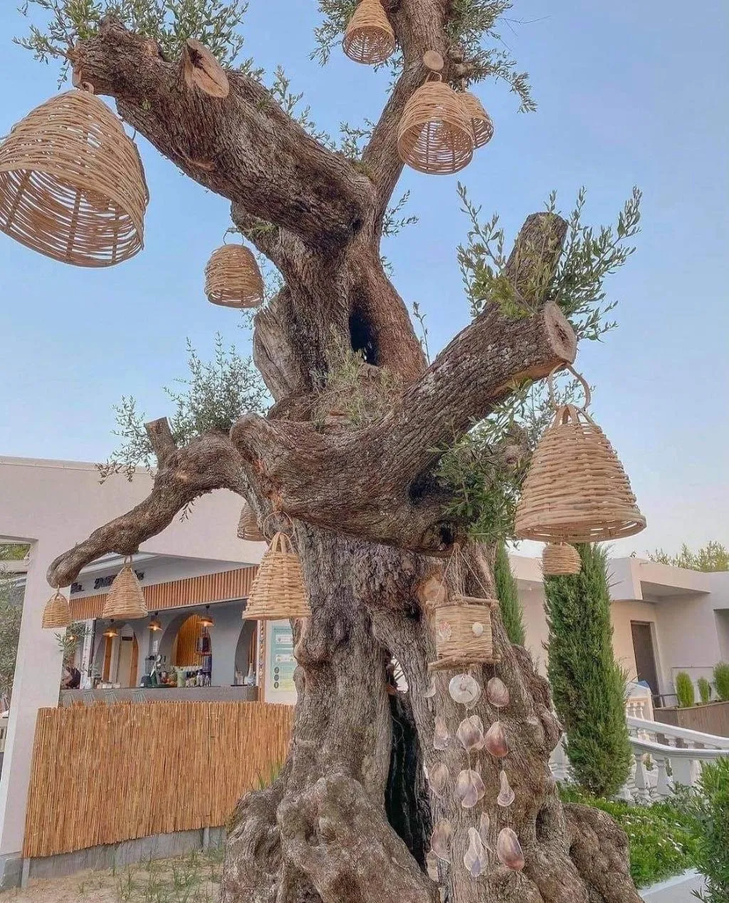 General view, Venus Resort, Zante