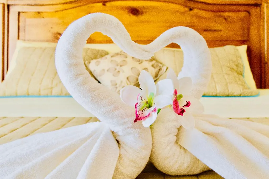 VILLA STANDARD Room, Dolce Vita Caribe B&B, Playa Del Carmen