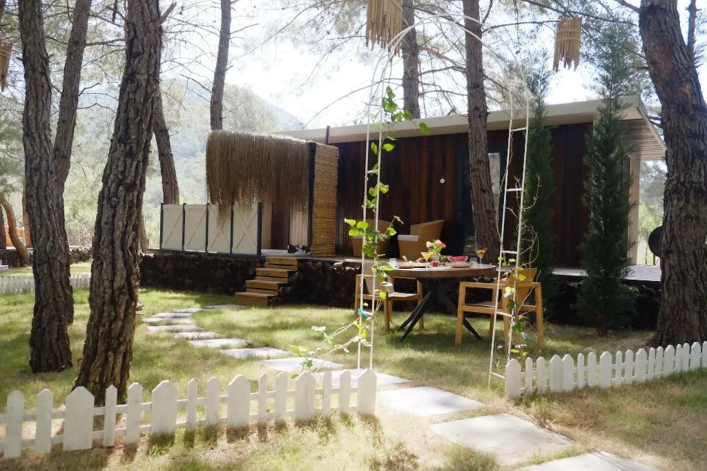 General view, Mossa Afkule Kayakoy, Dalaman