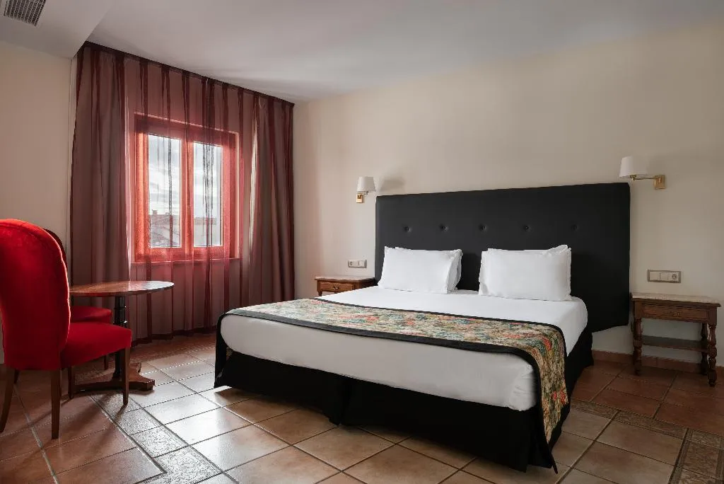 DOUBLE SINGLE USE STANDARD Room, Dorma Alfonso VIII, Madrid