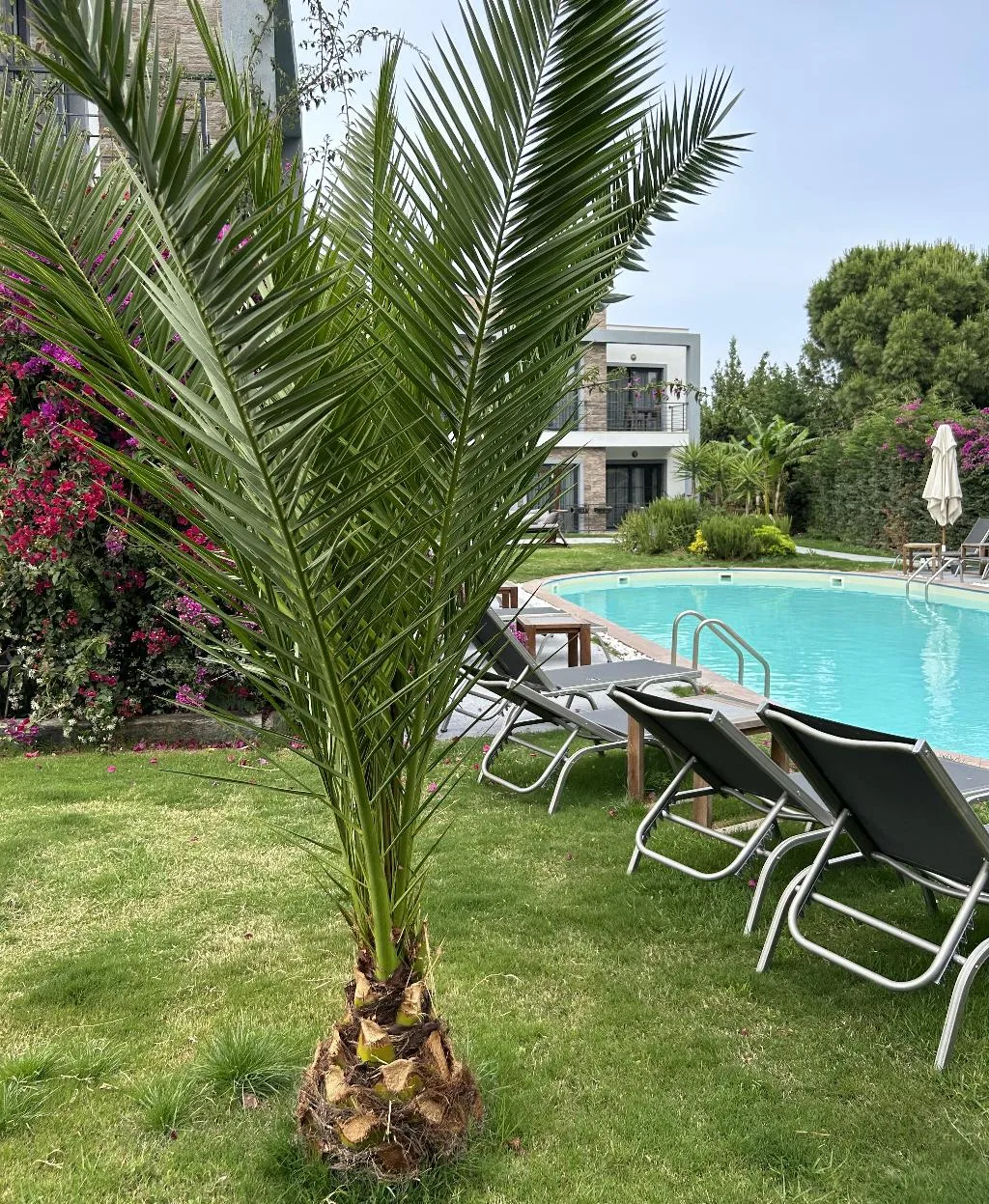 General view, Malta Hotel Bodrum, Bodrum