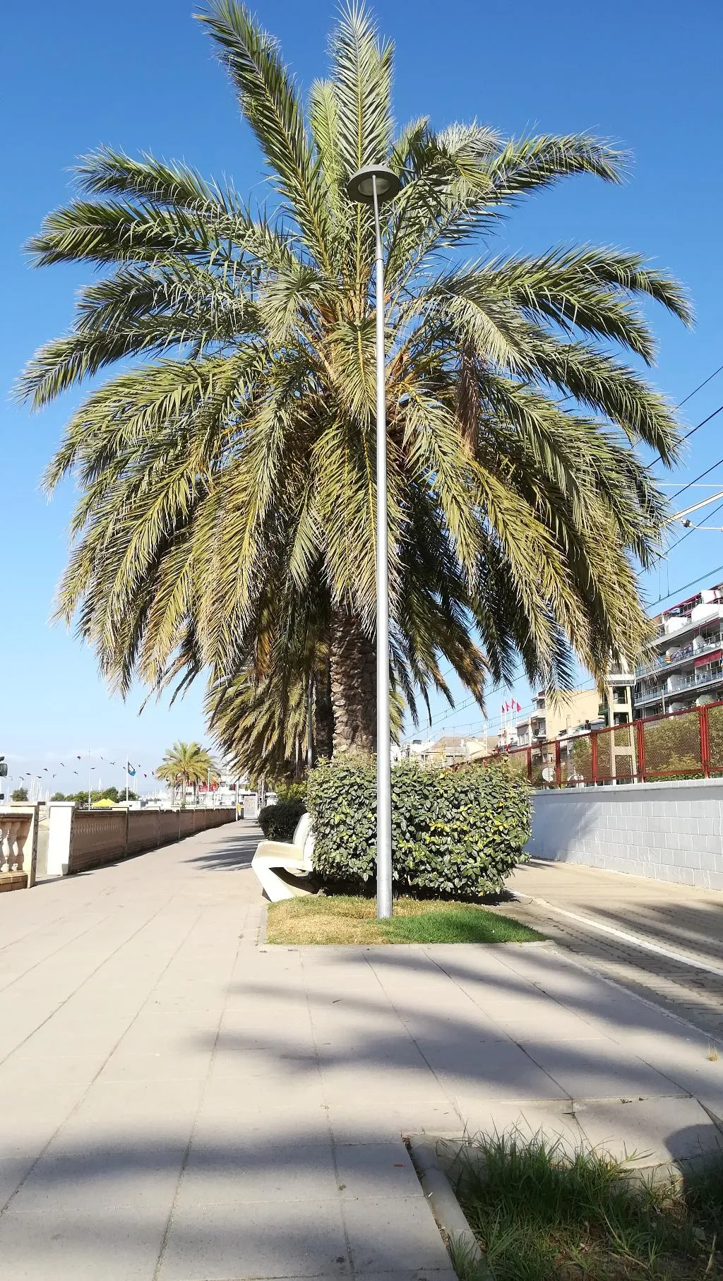 Beach, Terrassa De Mar Apartament, Barcelona