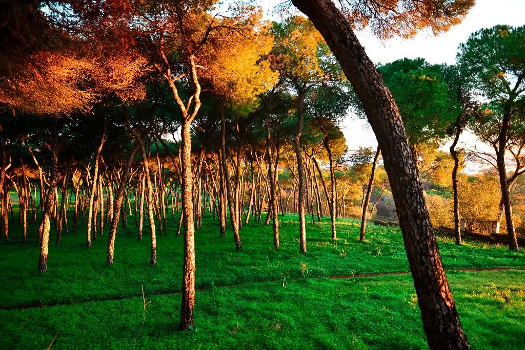 Sports and Entertainment, Legado Oromana, Andalucia