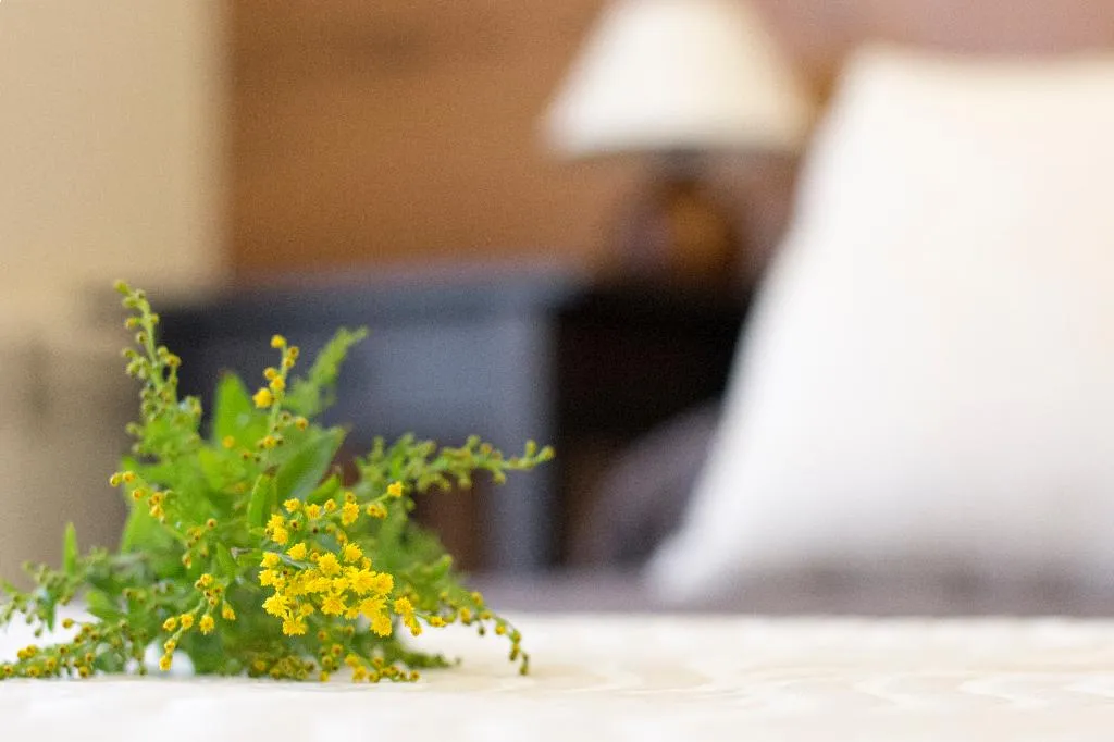 Room, Hostal Art, Madrid