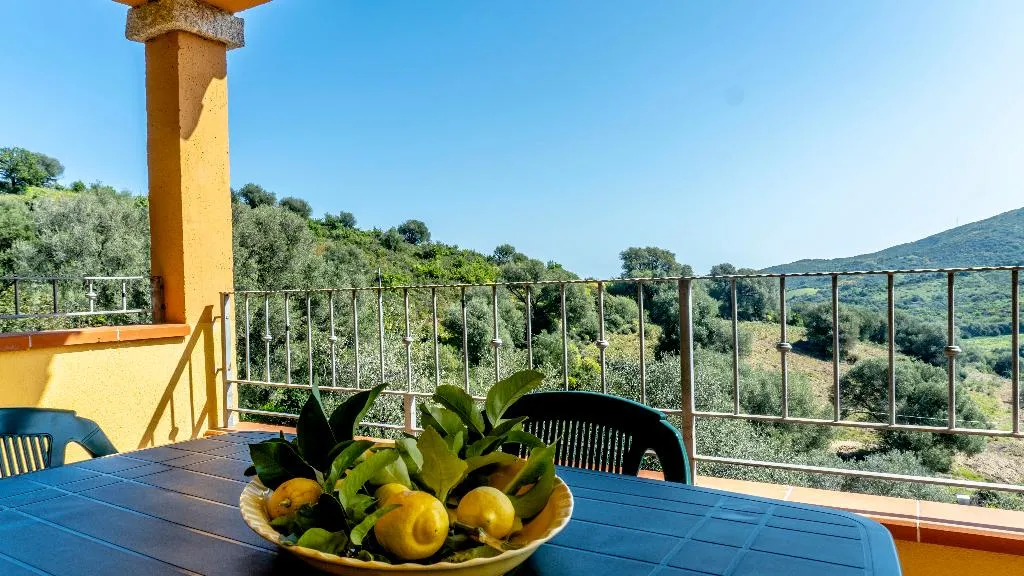 APARTMENT PARK VIEW WITH BALCONY Room, PMS CaseVacanze Budoni, Olbia