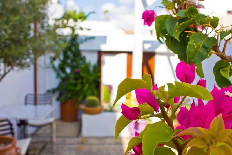 Terrace, Filoxenia Cozy, Rhodes