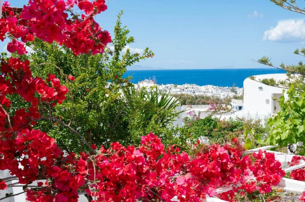 Terrace, Boutique Di Vito, Mykonos
