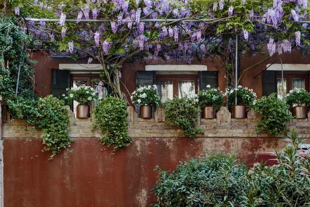 General view, Locanda Fiorita, Venice