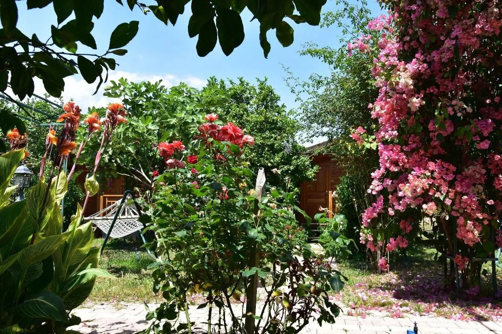 General view, Lemon Garden Lodge, Antalya