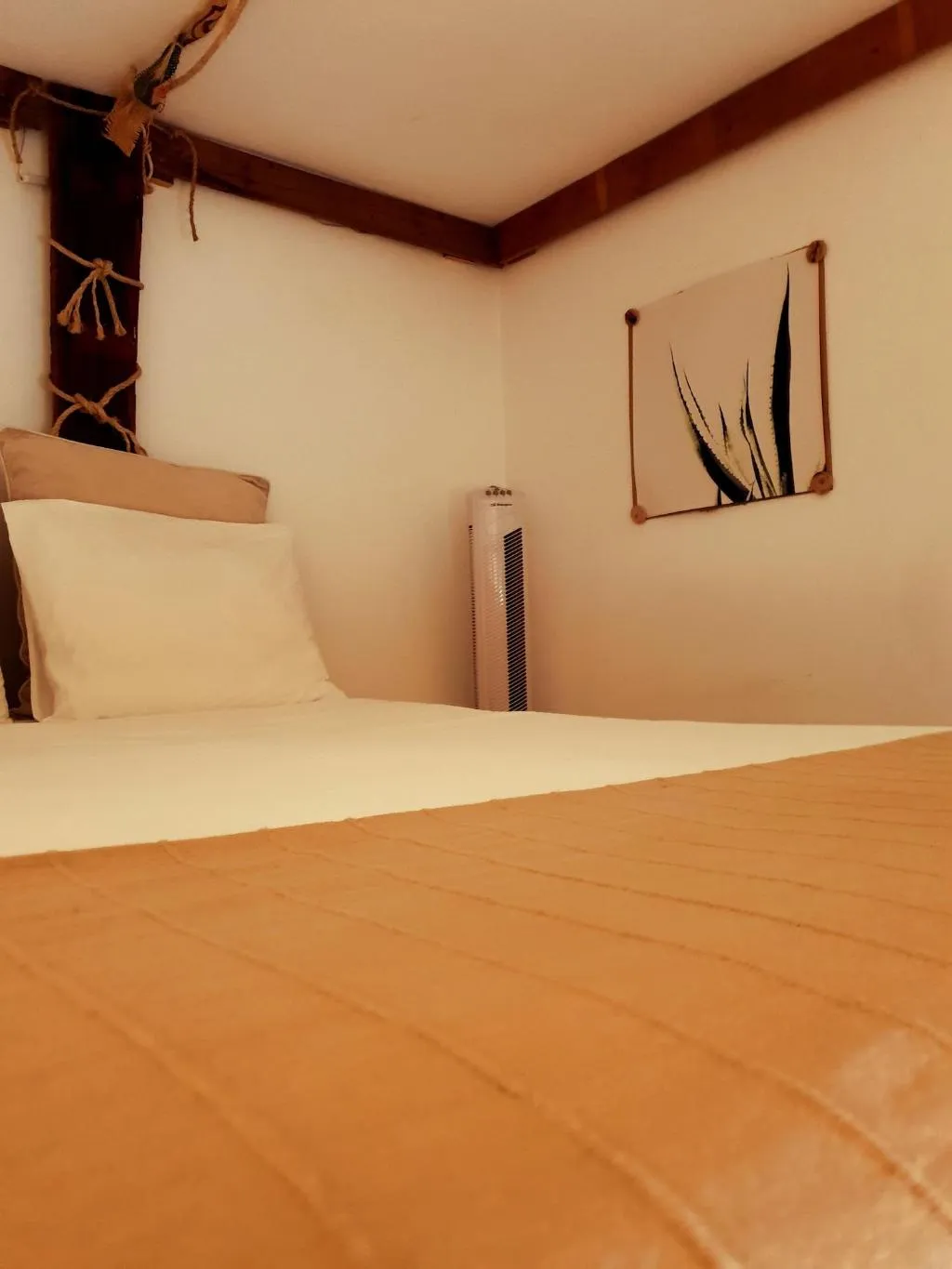 Room, Cactus Host, Gran Canaria