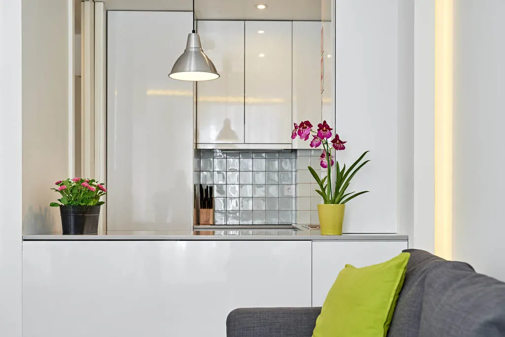 APARTMENT CAPACITY 1 Room, Apartments Ponte Nova, Porto