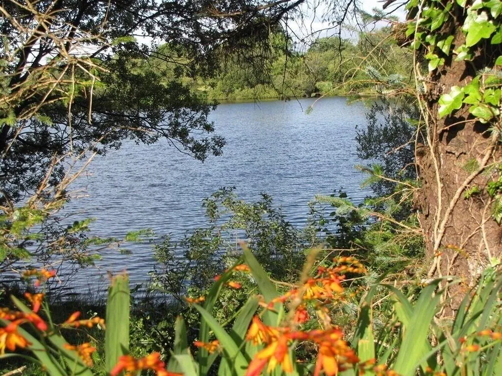 General view, Lake House B&B, Cork