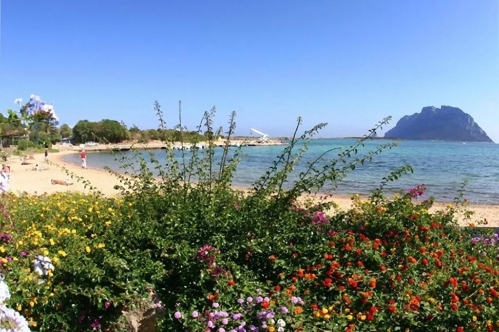 General view, BAIA de BAHAS - Apartments, Olbia