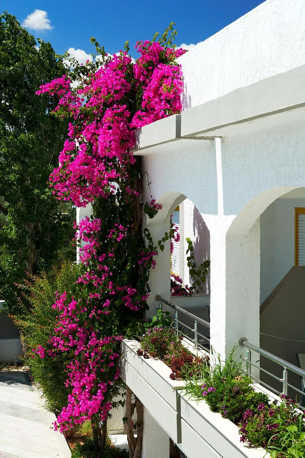 Terrace, Apollon Hotel Apartments, Crete