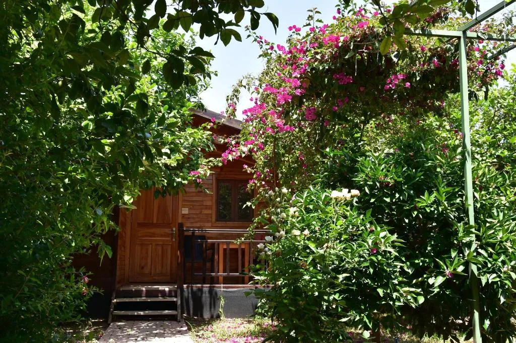 General view, Lemon Garden Lodge, Antalya