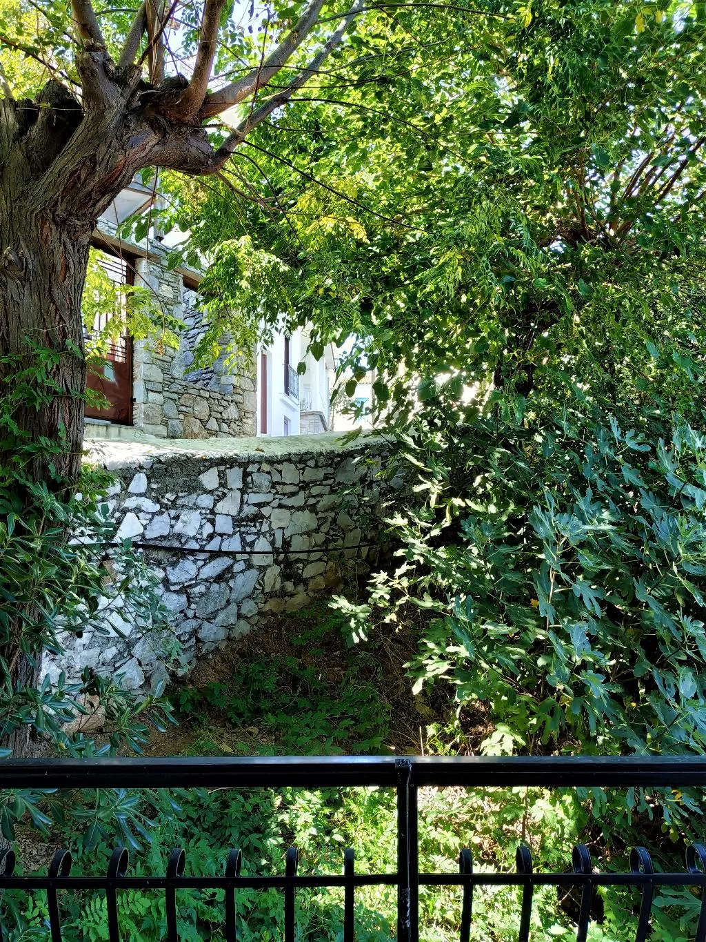 APARTMENT CAPACITY 4 Room, Argo, Skiathos