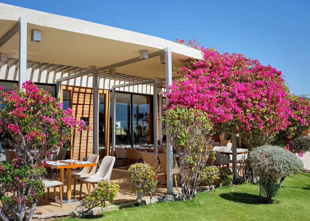 Restaurant, Coral Sea Sensatori, Red Sea Riviera