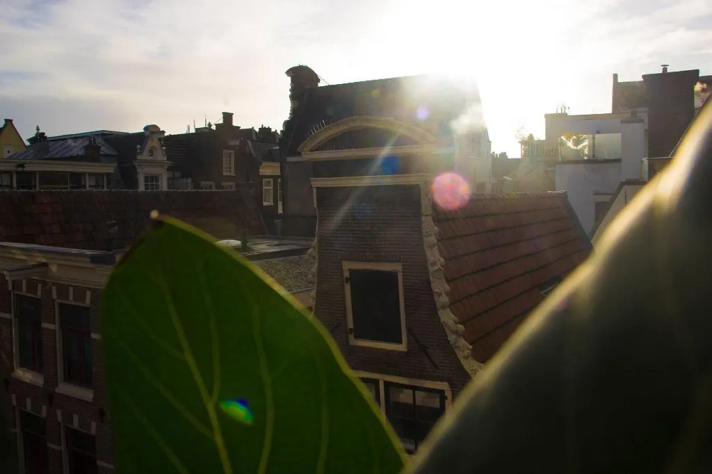 Room, Attic Monkeys Lodge, Amsterdam