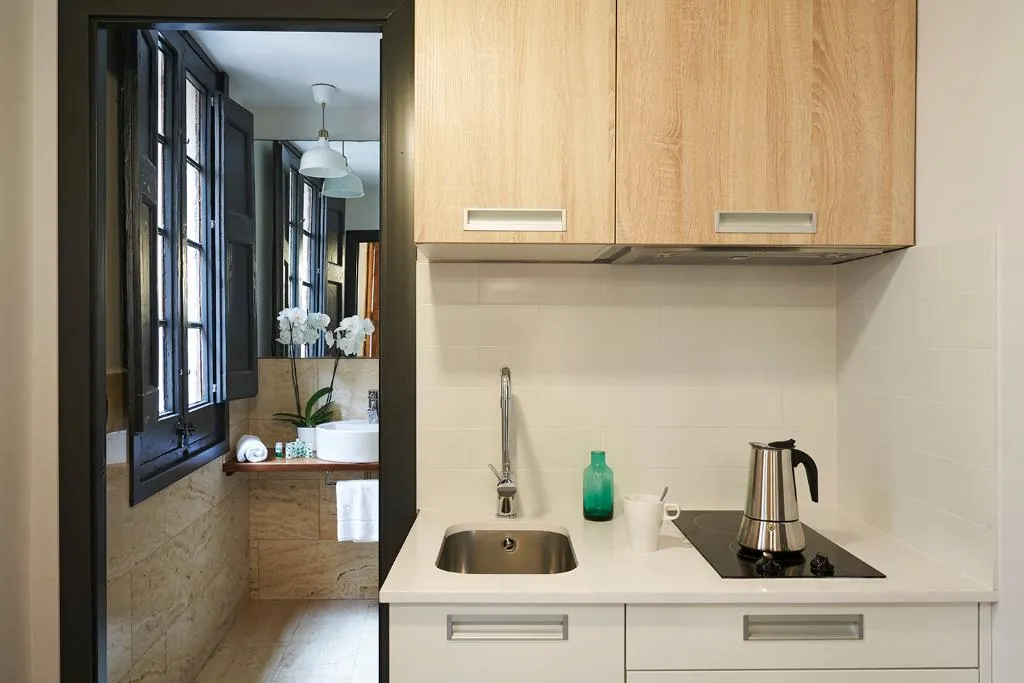 APARTMENT CAPACITY 1 Room, AinB Gothic-Jaume I Apartments, Barcelona