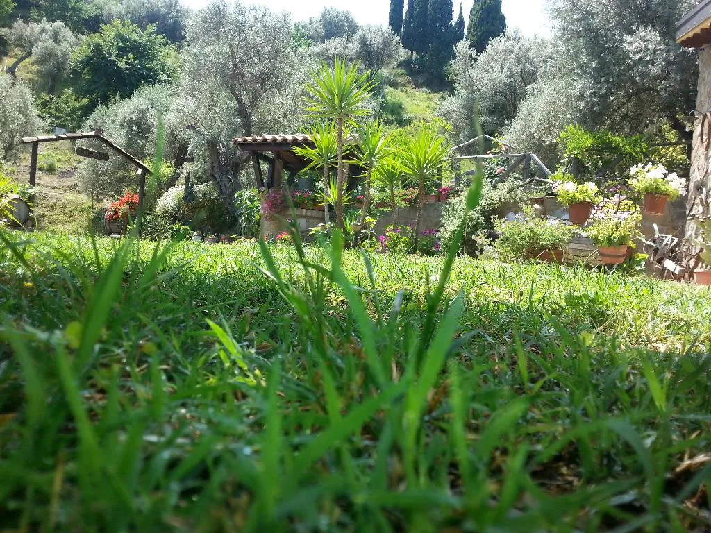 Lobby, Agriturismo L'Uliveto, Palermo