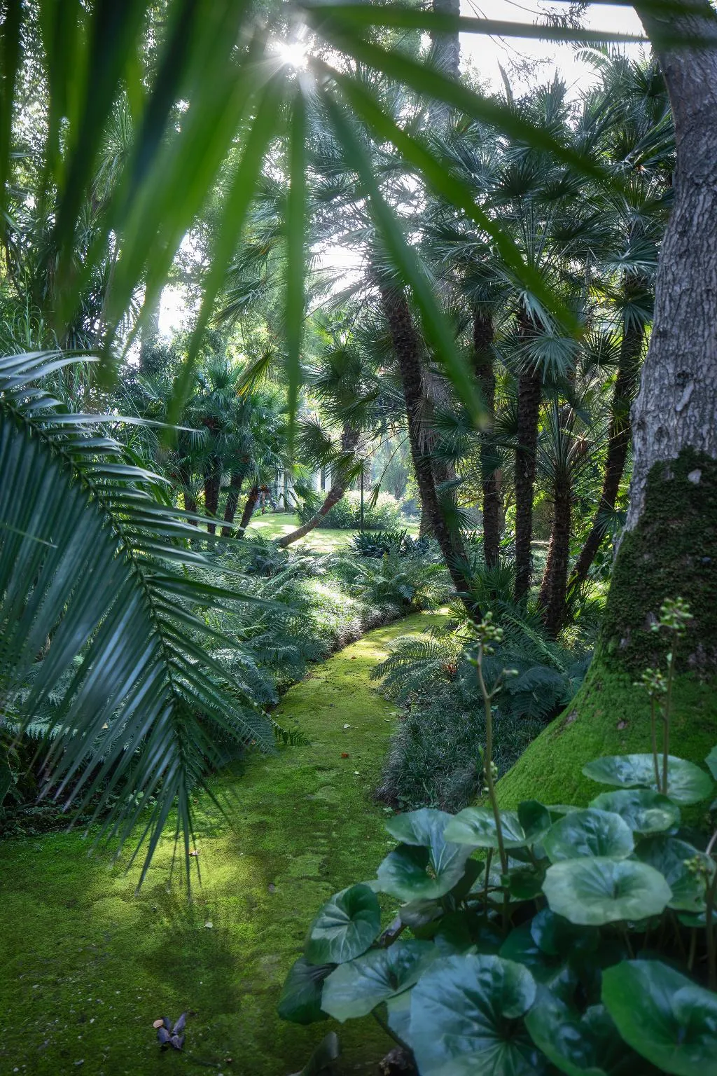General view, Parco Dei Principi, Naples