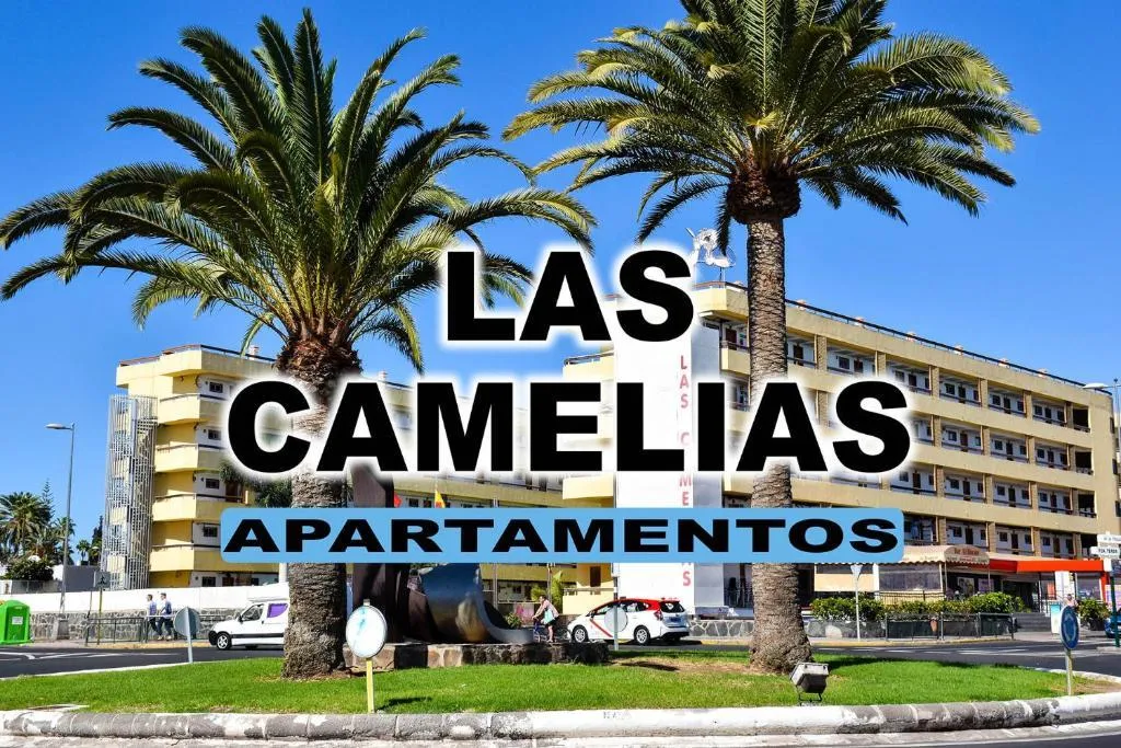 General view, Las Camelias Apartments, Gran Canaria